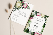 Protea - tropical collection, a Texture Illustration by Backyard Rose (Thumbnail 19 of 22)