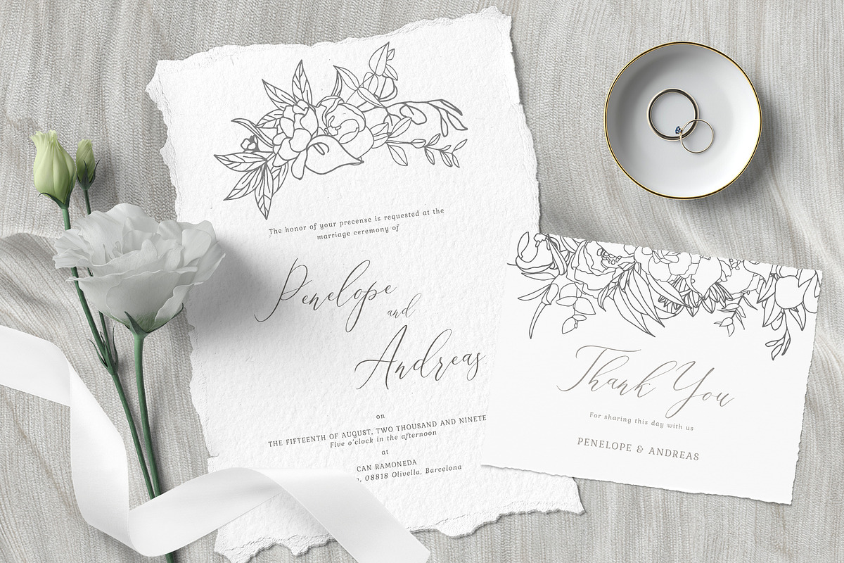 Elegant floral collection.Line art, a Decorative Illustration by Vera●Suleimanova (Photo 4 of 15)