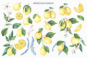 Lemon and portuguese tiles set, an Illustration by Bruna Illustrates (Thumbnail 2 of 5)