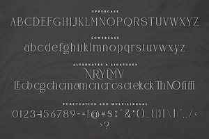 CANOVER Ligature Serif