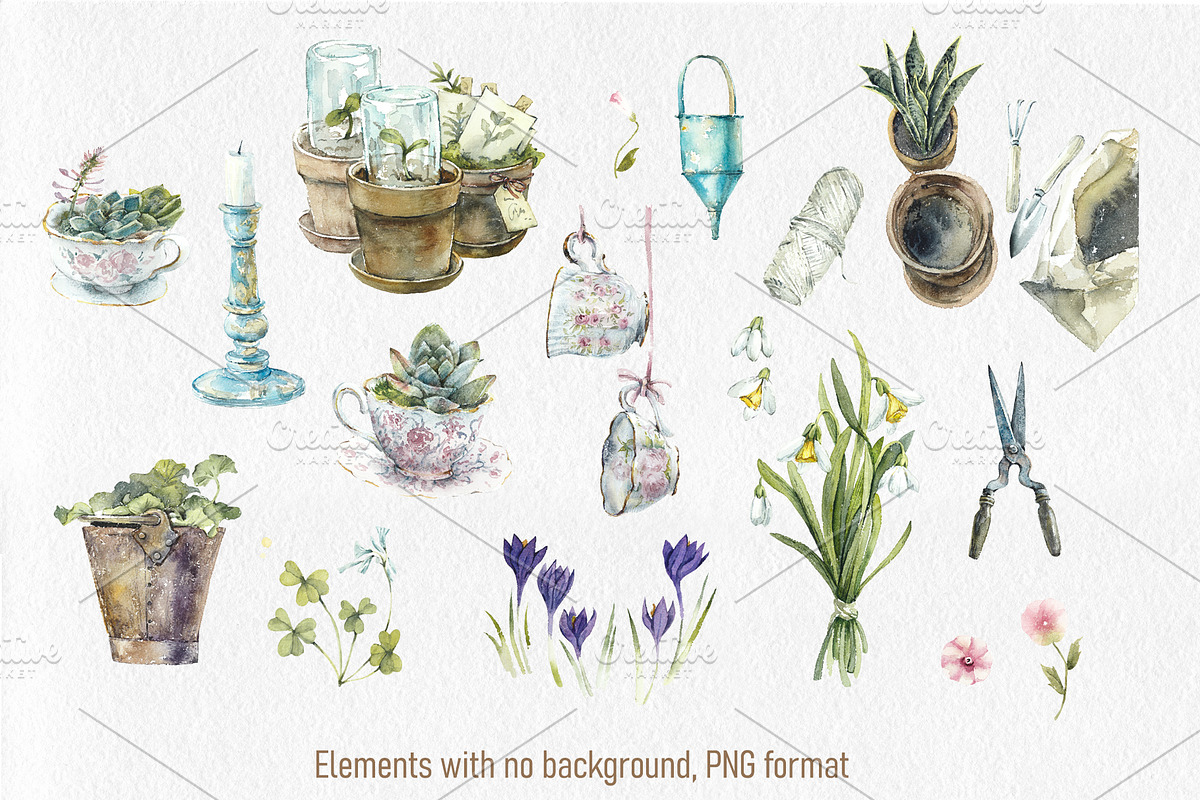 Vintage Garden Collection, an Illustration by Budogoshch (Photo 3 of 9)