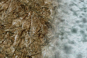 AUTUMN AND WINTER TEXTURE PACK, a Textures & Material 3D Model by Beatheart Creative Studio (Thumbnail 18 of 58)