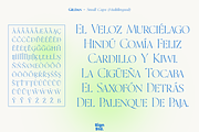 Gildan - Extra Light with Italic, a Serif Font by Sign Studio (Thumbnail 8 of 10)