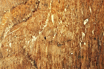 Old Bleached Wood Texture preview 6