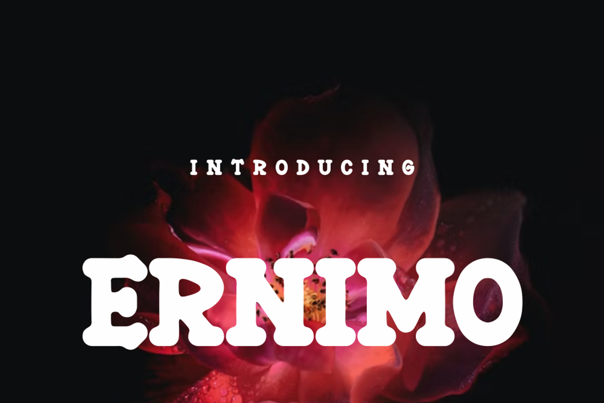 Ernimo, a Serif Font by lelevien (Photo 2 of 5)