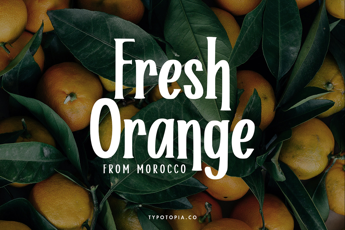 Helloria Classy Serif Typeface, a Sans Serif Font by edukka (Photo 6 of 8)