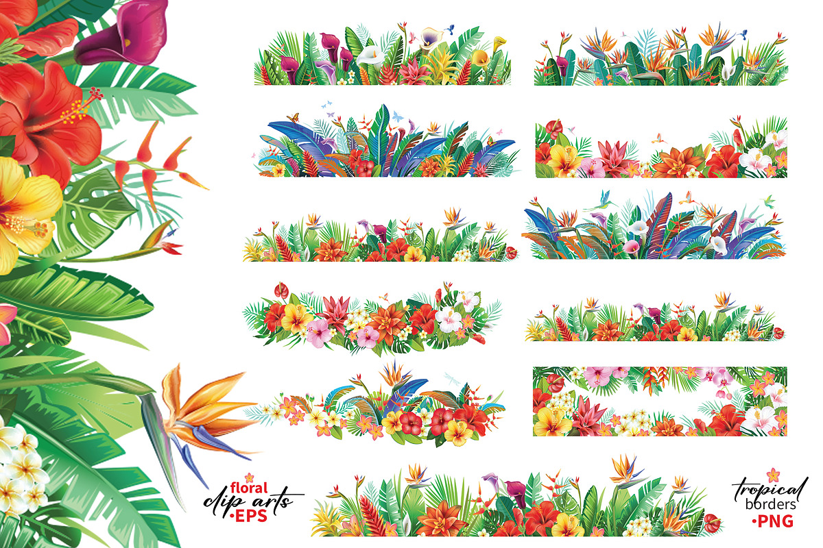 Tropical Flowers Arrangement borders, a Seasonal Illustration by ViktoriaARTprint (Photo 1 of 4)