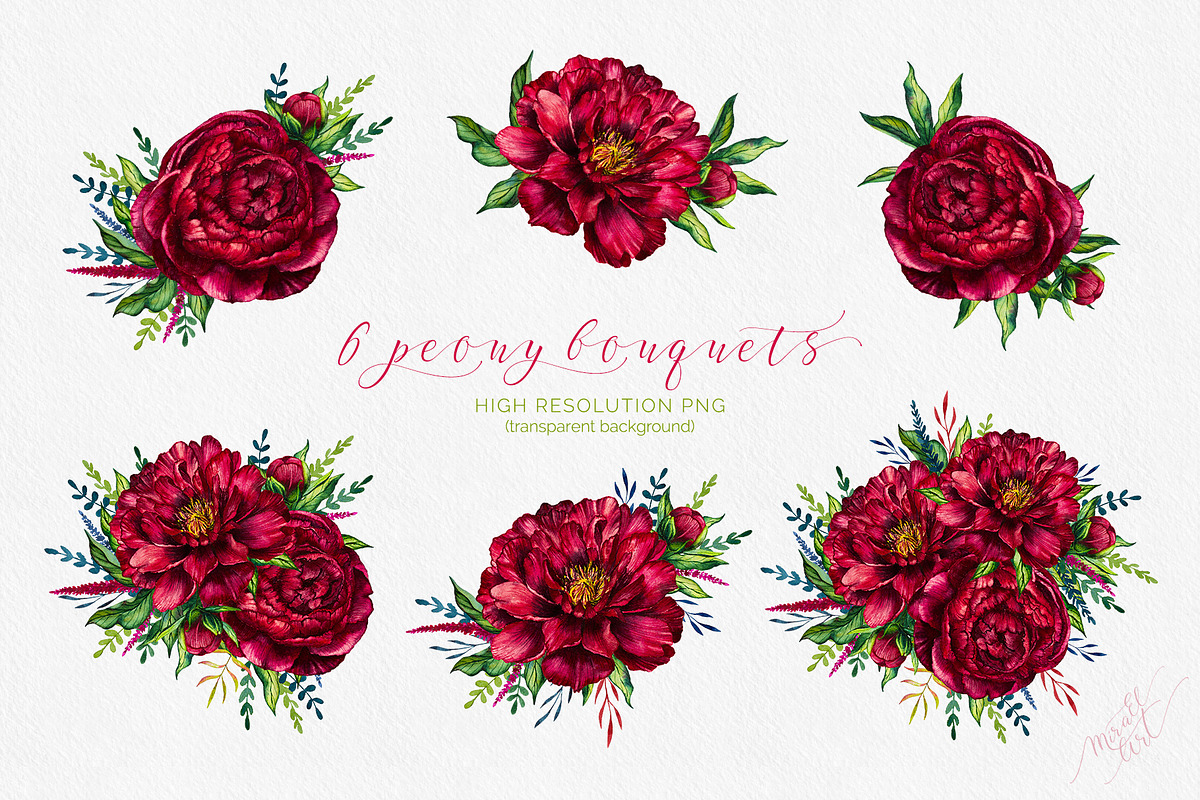 Watercolor peony flower, an Illustration by MiraEl Art (Photo 2 of 15)