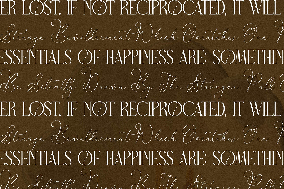 Narque Holden Gold Font Duo, a Serif Font by Storytype Studio (Photo 8 of 15)