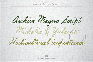 Archive Magno Script