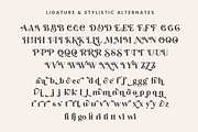 Backslash - Elegant Serif font, a Serif Font by Silverdav (Thumbnail 10 of 10)