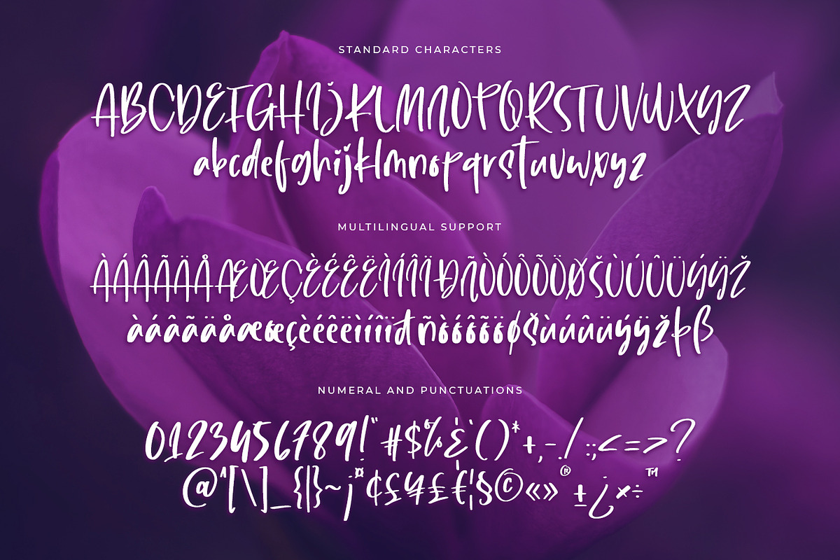 Lovely Purple, a Script Font by Abo Daniel Studio (Photo 9 of 9)