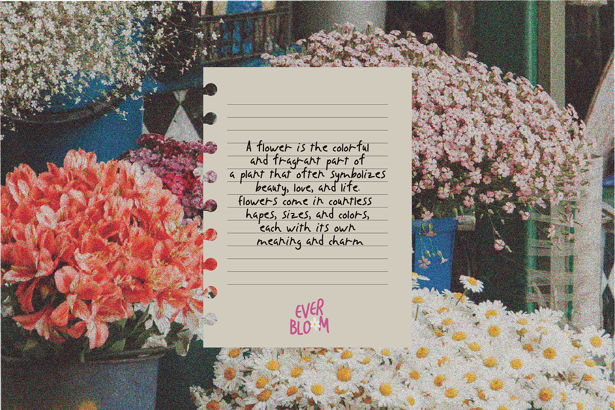 Daisytale - Playful Handwritten Font, a Handwritten Font by imdeyaa (Photo 9 of 11)