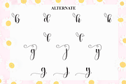 Baby Daisy | Script Font, a Handwritten Font by Scratchones (Thumbnail 8 of 9)