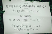 Amirthane - Brush Signature, a Handwritten Font by executypeStudio (Thumbnail 3 of 10)