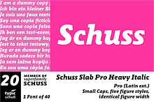 SchussSlabProHeavyIta No.20 (1 Font)
