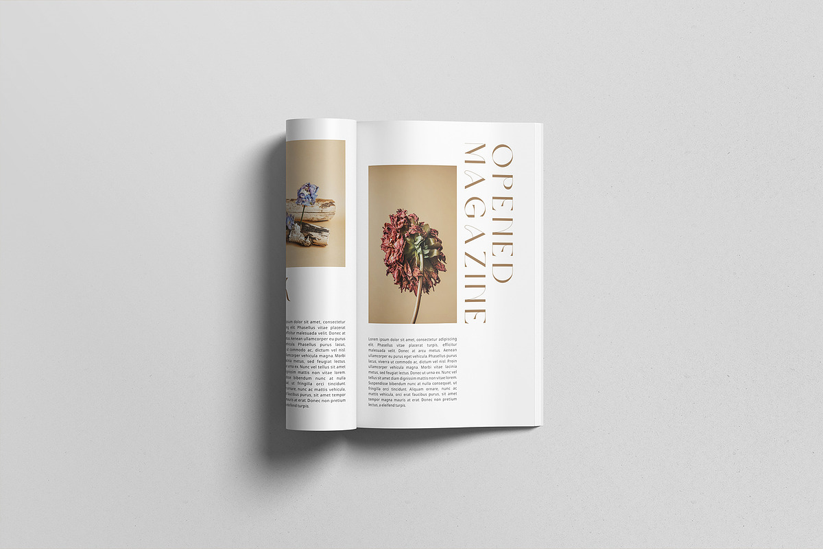 A4 Magazine Mockup, a Books & Magazine Mockup by graphicpages (Photo 6 of 17)