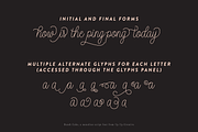 Bundt Cake Script Font, a Script Font by Up Up Creative (Thumbnail 6 of 15)