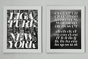 Dynasti Display Font, a Serif Font by Megatype (Thumbnail 10 of 11)