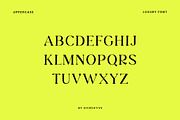 Spinmaster Modern Display Serif Font, a Serif Font by UICreative (Thumbnail 9 of 13)