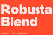 Romansa Pro, a Sans Serif Font by Teweka (Thumbnail 2 of 9)