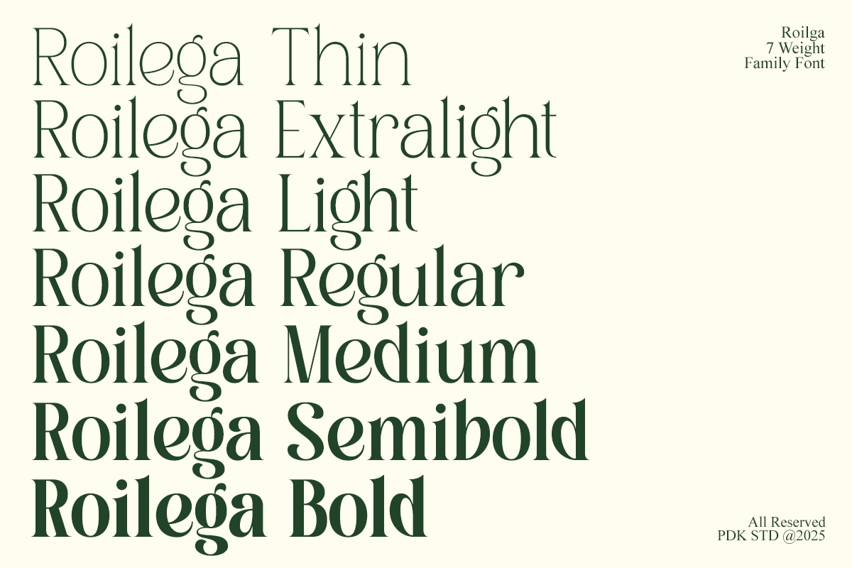 Roilega - Luxury Brand Family Font, a Serif Font by Pandeka Studio (Photo 3 of 11)