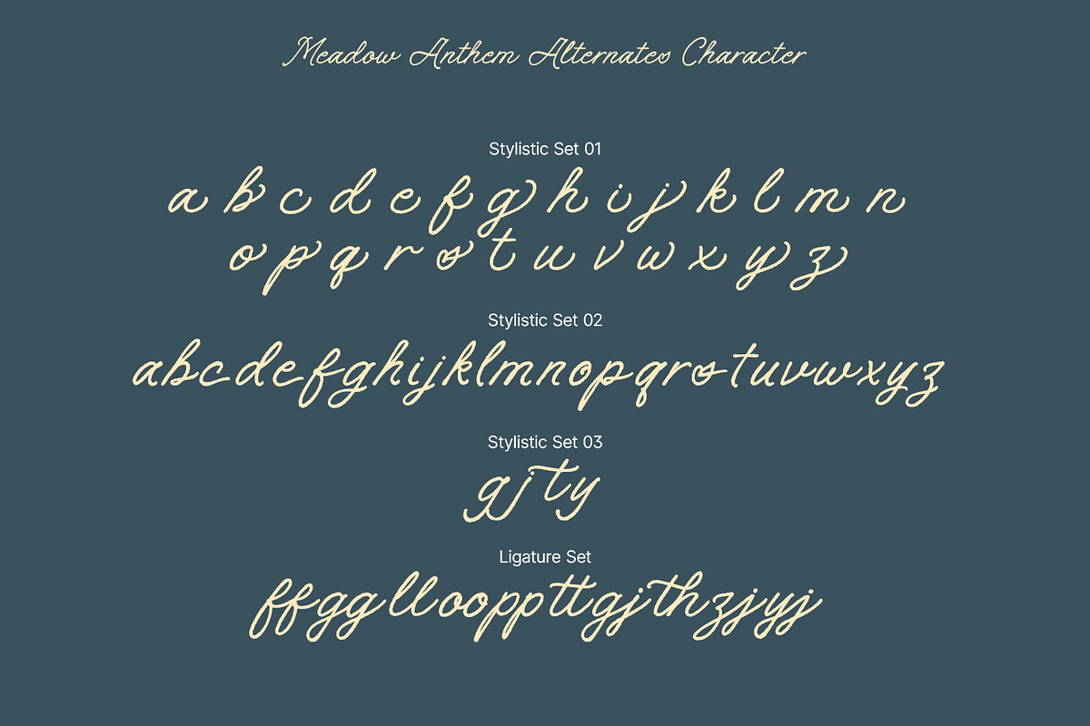 Meadow Anthem, a Handwritten Font by Nathatype (Photo 10 of 11)