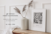 Vintage Forest Illustrations Set, an Object Graphic by Yevheniia (Thumbnail 5 of 7)