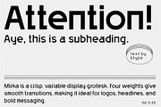 Mirka — Variable Sans Serif Family, a Sans Serif Font by BTYPE (Thumbnail 7 of 11)