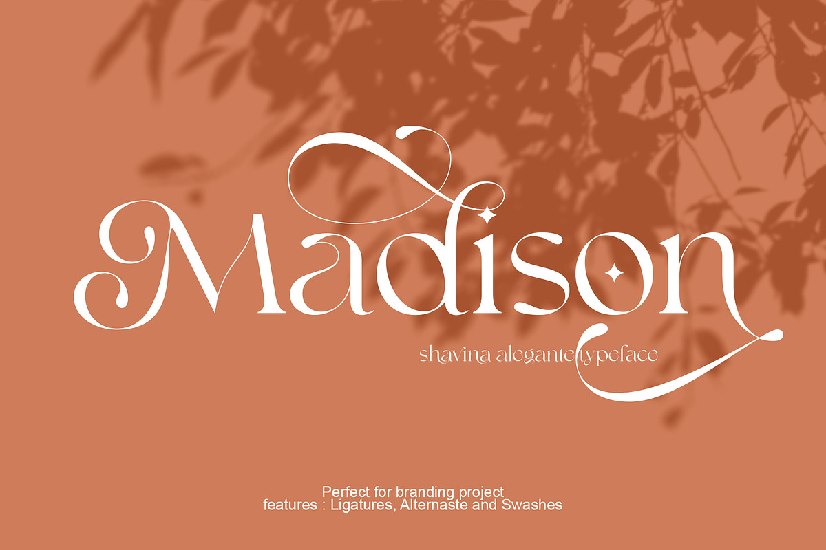 Shavina Elegance, a Serif Font by INKSUN™ (Photo 5 of 12)
