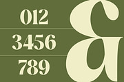 Buffery Reflika Modern Bold Serif, a Serif Font by timelesstype.co (Thumbnail 8 of 20)