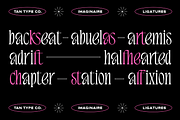 TAN - IMAGINAIRE, a Serif Font by TanType (Thumbnail 12 of 12)