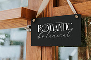 Narque Holden Gold Font Duo, a Serif Font by Storytype Studio (Thumbnail 3 of 15)