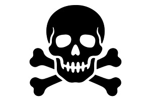 Pirate Skull Vector Icon