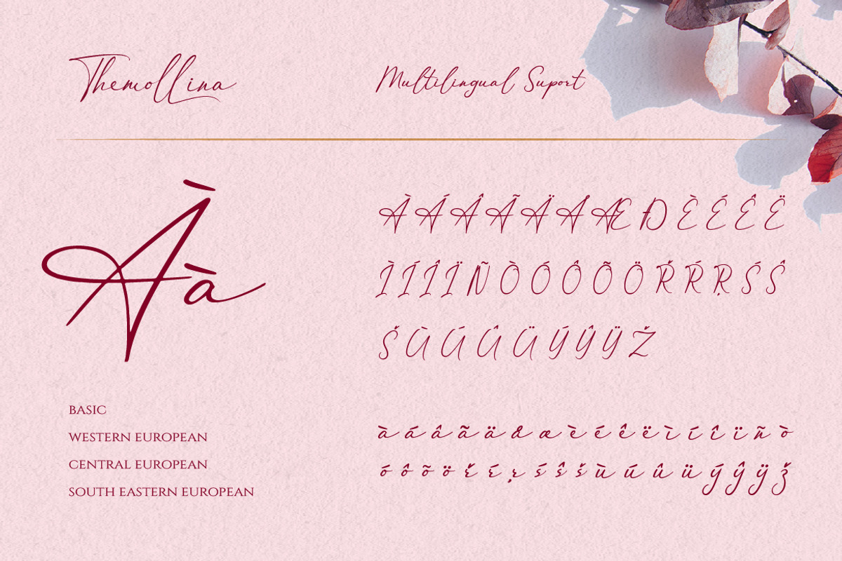 Themollina, a Script Font by kerismaker (Photo 9 of 12)