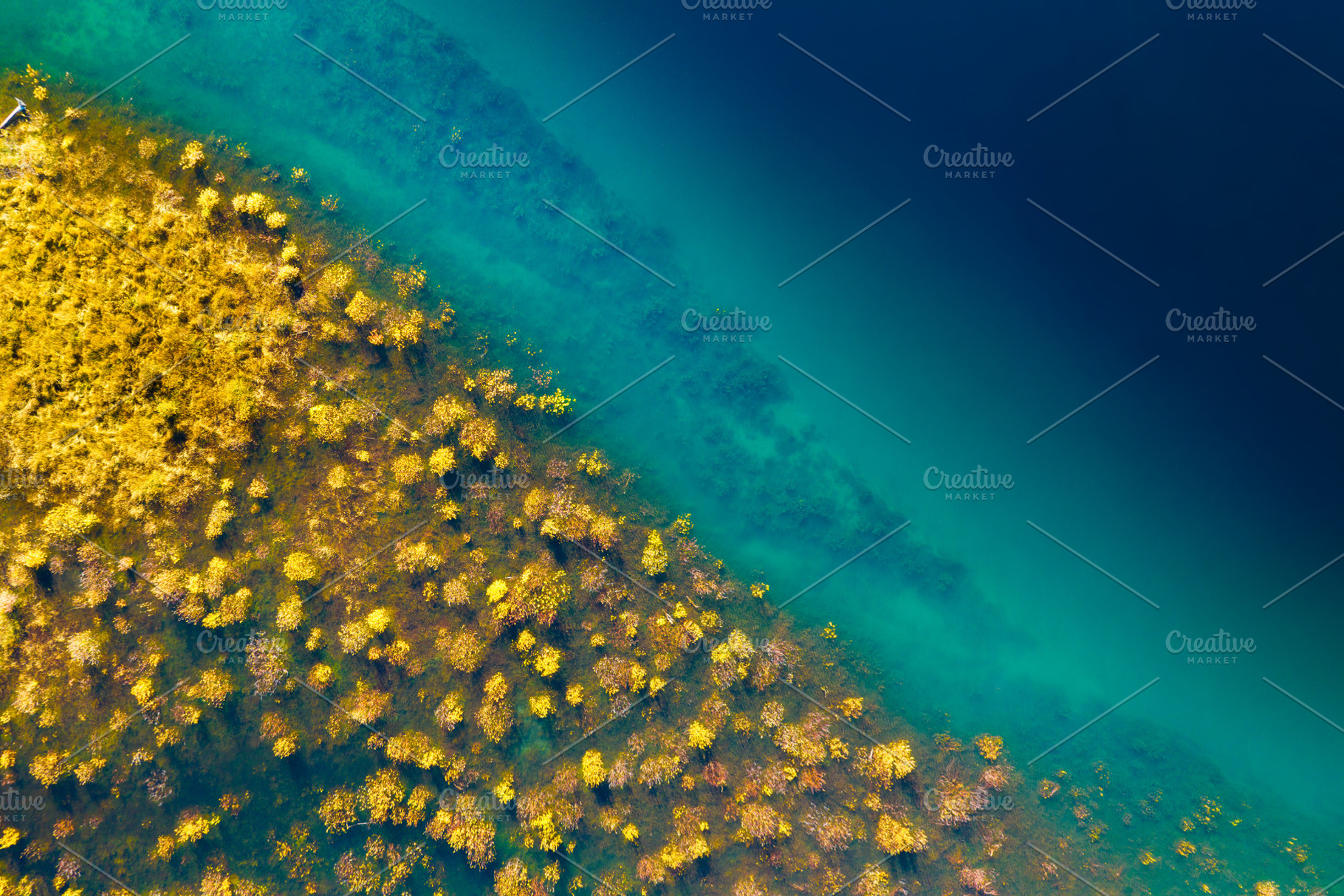 Drone view of the river, a Nature Photo by Landscape and travel