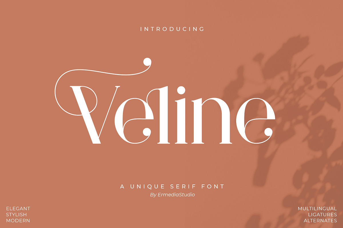 Veline - Serif Font, a Serif Font by Ermedia Studio (Photo 1 of 11)