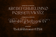 Sebastian Fashion Modern Serif, a Serif Font by Creatype Studio (Thumbnail 8 of 10)