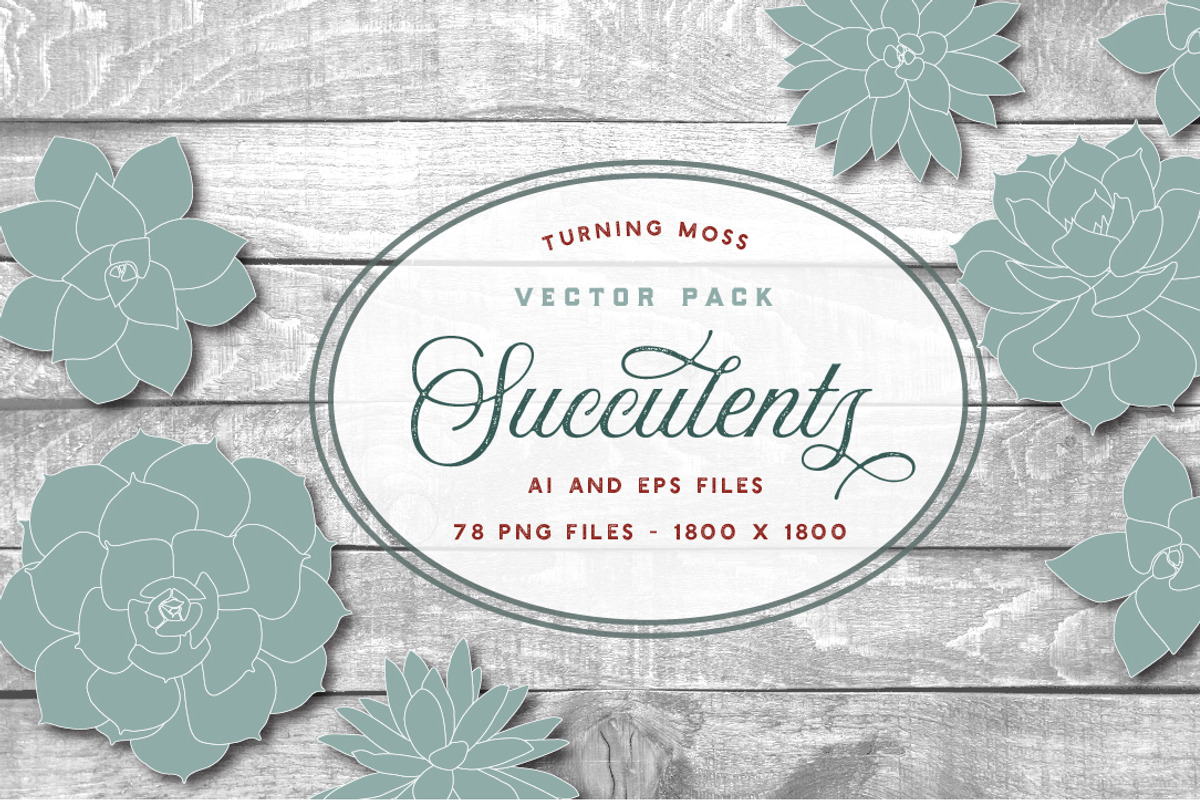 Succulent Clip Art - Botanic Vectors, an Illustration by Turning Moss (Photo 2 of 5)