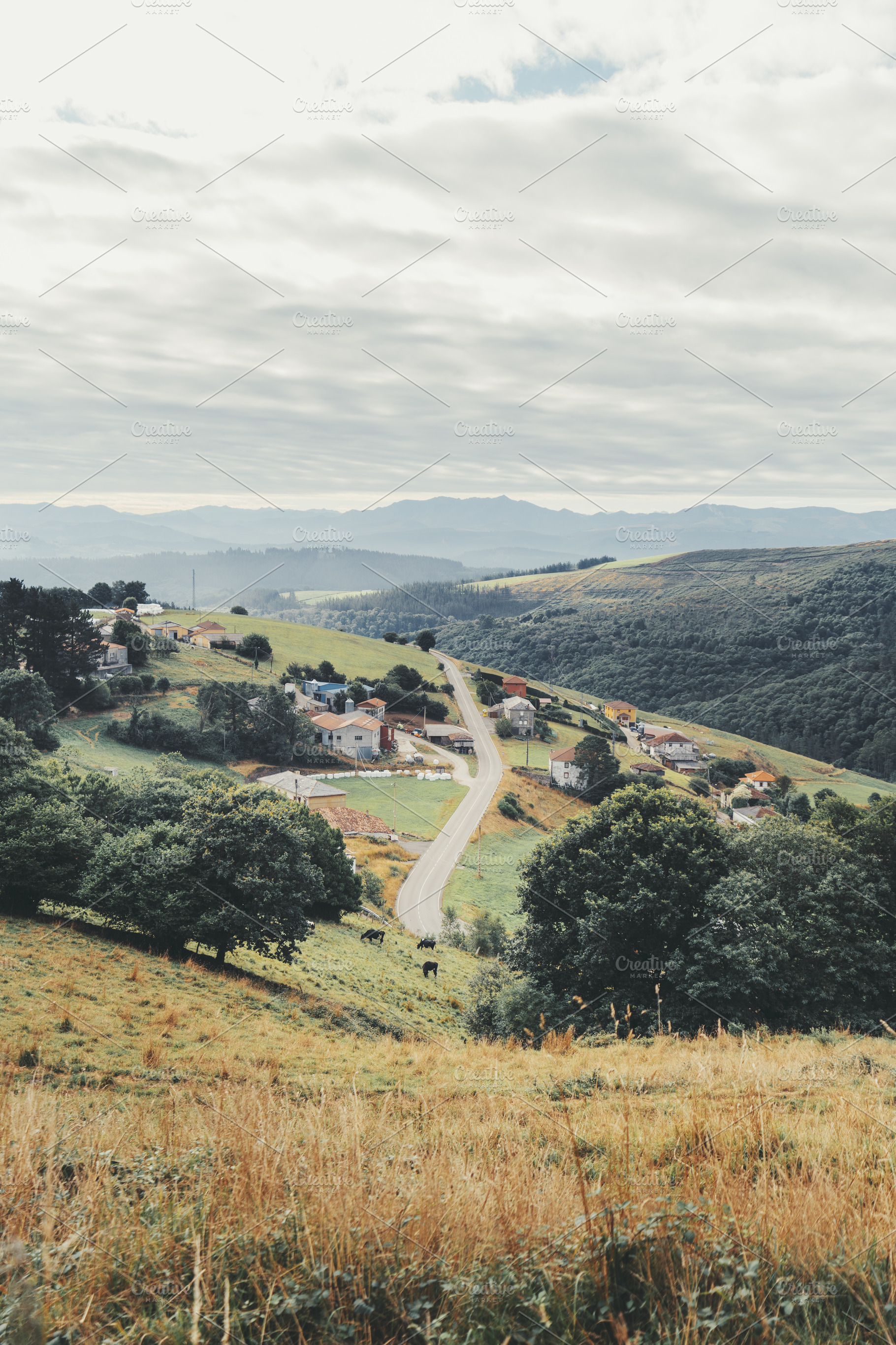 Winding Road Through Rural Hills, a Nature Photo by SkyNext