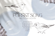 Charming forest - BUNDLE 4 in 1, a Decorative Illustration by Yuliia Lashevska (Thumbnail 8 of 26)