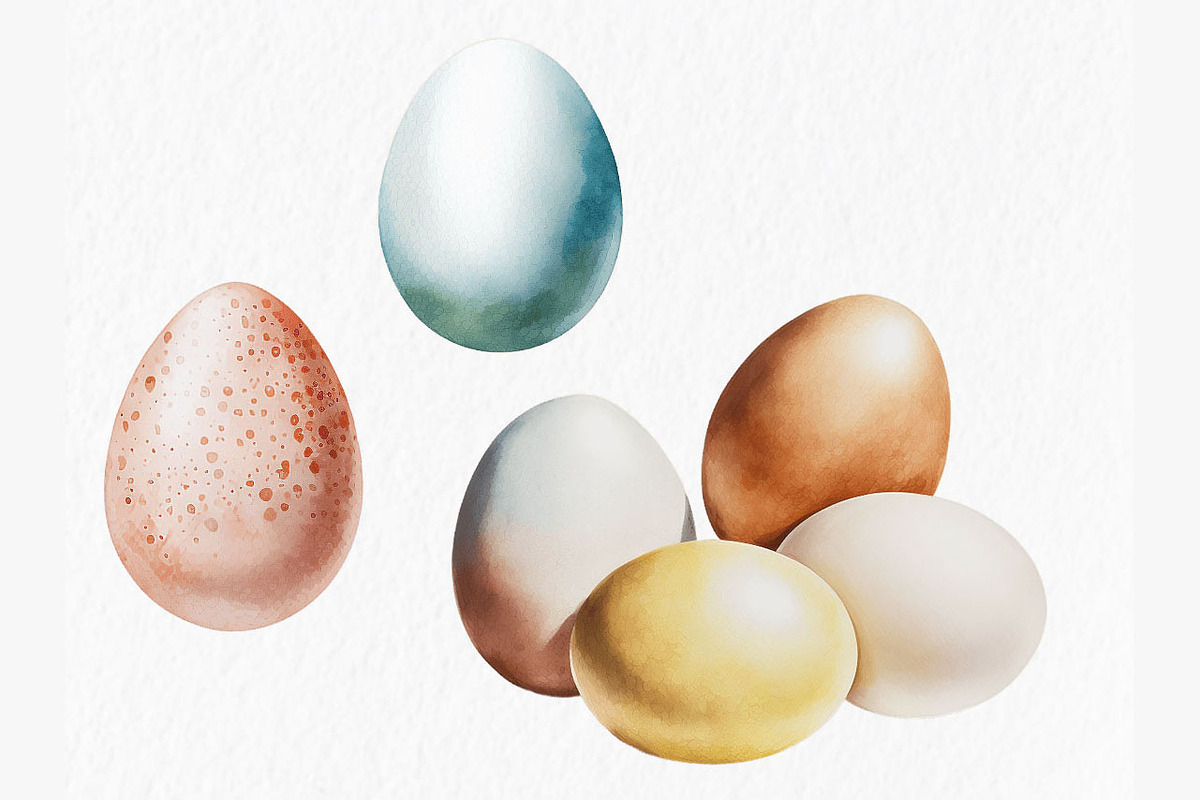 Village chickens Watercolor Clipart, an Object Graphic by MyLittleMeow (Photo 6 of 7)
