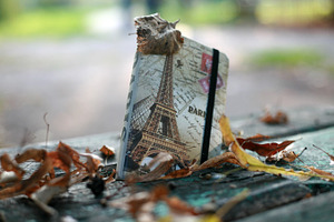 Notebook featuring adventure, autumn, and background