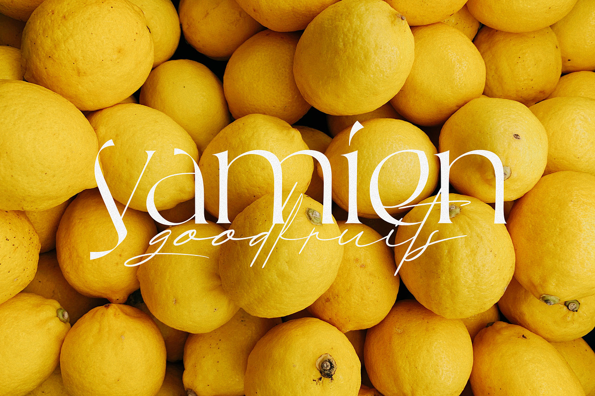Rallisaguen, a Serif Font by DYSA Studio (Photo 9 of 11)