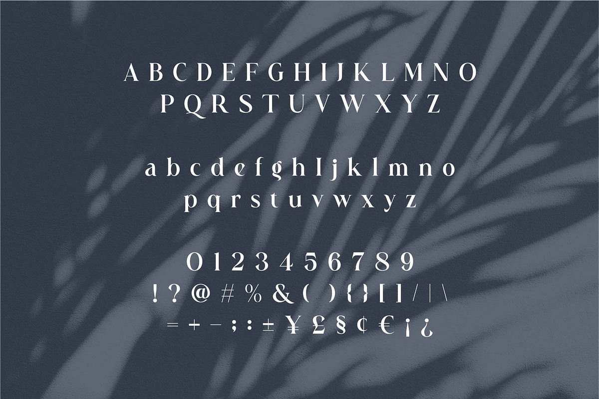 Astrid Elegant Ligature Typeface, a Serif Font by Dylla_studio (Photo 12 of 12)