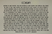 Cougar – Variable Widths Sans, a Sans Serif Font by Local Desk Designstudio (Thumbnail 10 of 19)