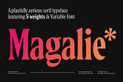 Magalie Typeface, a Serif Font by Mark van Leeuwen (Thumbnail 1 of 13)