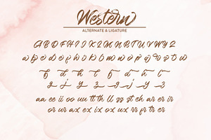 Western - Handbrush Script Font