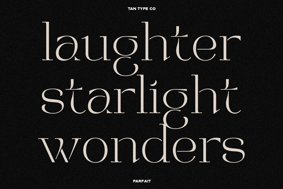 TAN - PARFAIT, a Serif Font by TanType (Photo 17 of 21)