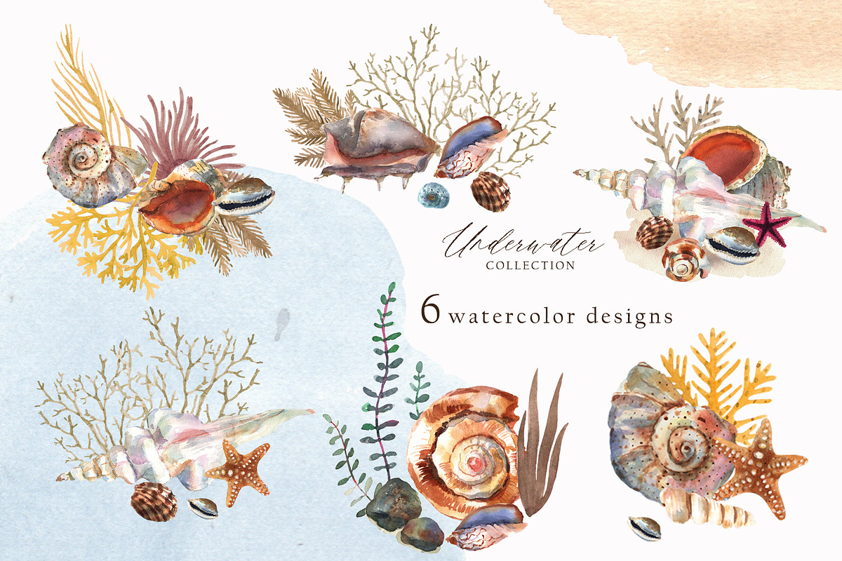 Watercolor whale. Sea underwater set, an Animal Illustration by Julycolor (Photo 17 of 21)